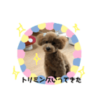 モコのスタンプ（基本編）（個別スタンプ：14）