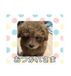 モコのスタンプ（基本編）（個別スタンプ：15）