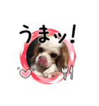 リンゴさんスタンプ パート2（個別スタンプ：1）