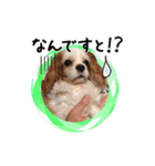 リンゴさんスタンプ パート2（個別スタンプ：2）