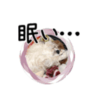リンゴさんスタンプ パート2（個別スタンプ：7）