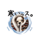 リンゴさんスタンプ パート2（個別スタンプ：8）