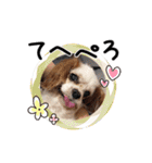 リンゴさんスタンプ パート2（個別スタンプ：10）