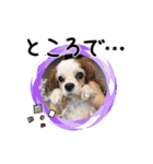 リンゴさんスタンプ パート2（個別スタンプ：13）
