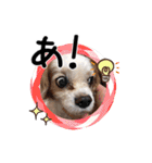 リンゴさんスタンプ パート2（個別スタンプ：17）