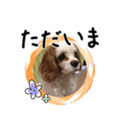 リンゴさんスタンプ パート2（個別スタンプ：18）