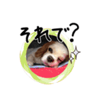 リンゴさんスタンプ パート2（個別スタンプ：19）