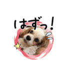 リンゴさんスタンプ パート2（個別スタンプ：21）