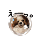 リンゴさんスタンプ パート2（個別スタンプ：24）