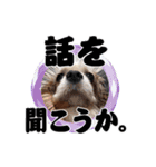 リンゴさんスタンプ パート2（個別スタンプ：31）