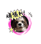 リンゴさんスタンプ パート2（個別スタンプ：32）