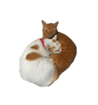 白っぽい猫（個別スタンプ：4）