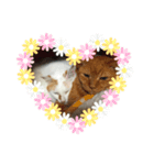 白っぽい猫（個別スタンプ：7）