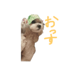 ももすたんぴー（個別スタンプ：1）