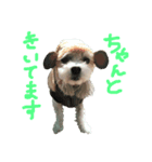 ももすたんぴー（個別スタンプ：7）