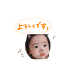 みやひなここまる（個別スタンプ：1）