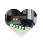 黒猫クゥーちゃん（個別スタンプ：4）