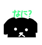 まっくろたん（個別スタンプ：1）