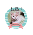 笑猫（個別スタンプ：5）