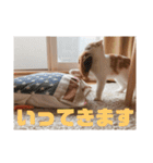 朔ノ介スタンプ 1（個別スタンプ：1）