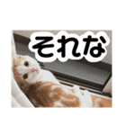 朔ノ介スタンプ 1（個別スタンプ：10）