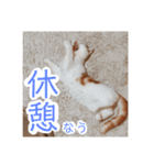 朔ノ介スタンプ 1（個別スタンプ：21）