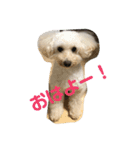 メイとキキ（個別スタンプ：1）