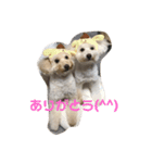 メイとキキ（個別スタンプ：4）