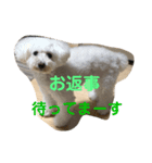メイとキキ（個別スタンプ：7）