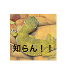 レオパのラル（個別スタンプ：2）