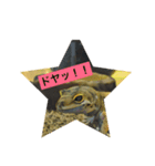 レオパのラル（個別スタンプ：4）