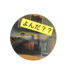 レオパのラル（個別スタンプ：5）