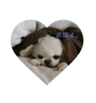 そらち（個別スタンプ：6）