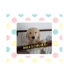 今日のれんちゃん（個別スタンプ：5）