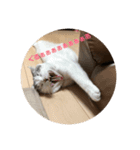 コジロウ（個別スタンプ：7）