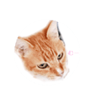 うちのねこ   りゅーさん（個別スタンプ：2）