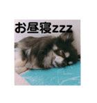 ティナくん（個別スタンプ：4）