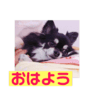 ティナくん（個別スタンプ：7）