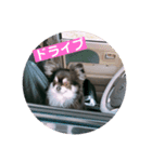 ティナくん（個別スタンプ：8）