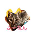 じょーくんらぶ（個別スタンプ：1）