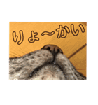 じょーくんらぶ（個別スタンプ：4）