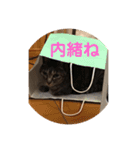 じょーくんらぶ（個別スタンプ：7）