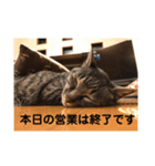 じょーくんらぶ（個別スタンプ：8）