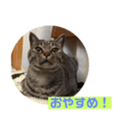 じょーくんらぶ（個別スタンプ：10）