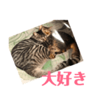 じょーくんらぶ（個別スタンプ：11）