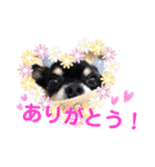 みゅうとんとりんたん（個別スタンプ：3）