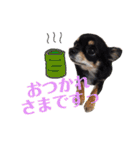 みゅうとんとりんたん（個別スタンプ：5）
