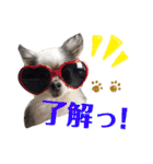 みゅうとんとりんたん（個別スタンプ：6）
