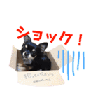 みゅうとんとりんたん（個別スタンプ：7）
