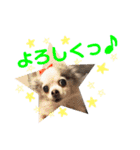 みゅうとんとりんたん（個別スタンプ：14）